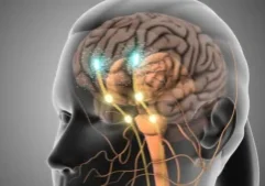 GettyImages-2150456453_JitendraJadhav_custom20251125094659