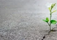 Resilience-in-the-workplace-concept